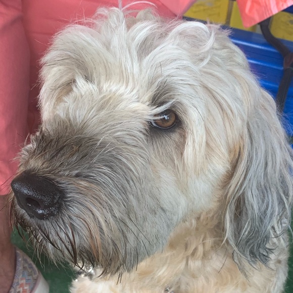 Meet your Posher, Heidi - Picture 1 of 1